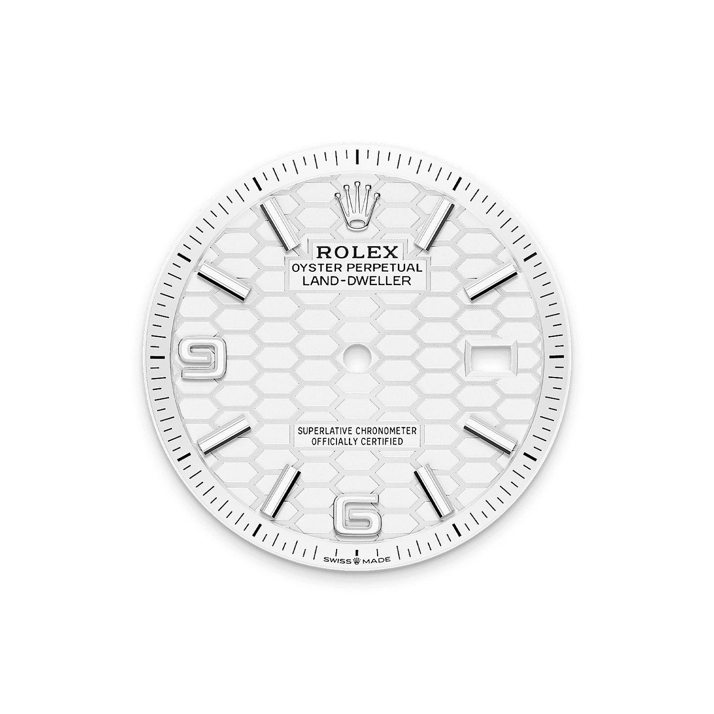 Rolex Land-Dweller 36mm Oystersteel & White Gold M127234-0001