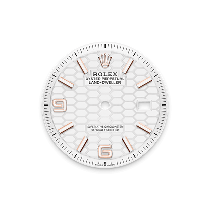 Rolex Land-Dweller 36mm Oyster Everose Gold M127235-0001