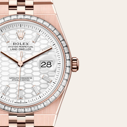 Rolex Land-Dweller 36mm Oyster Everose Gold & Diamonds M127285TBR-0002