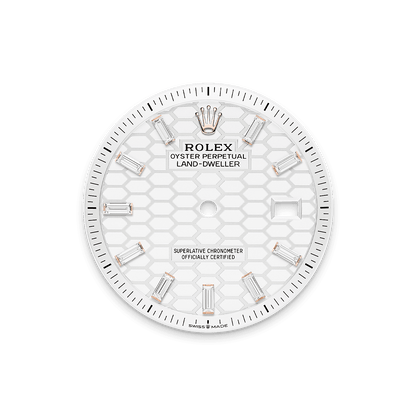 Rolex Land-Dweller 36mm Oyster Everose Gold & Diamonds M127285TBR-0002