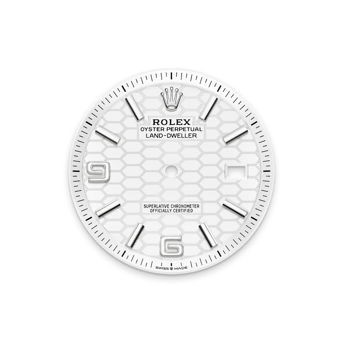 Rolex Land-Dweller 40mm Oystersteel & White Gold M127334-0001