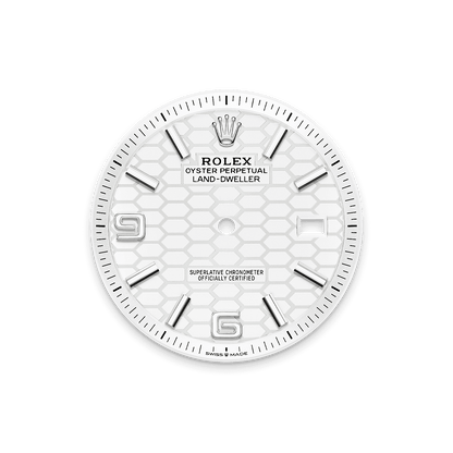 Rolex Land-Dweller 40mm Oystersteel & White Gold M127334-0001