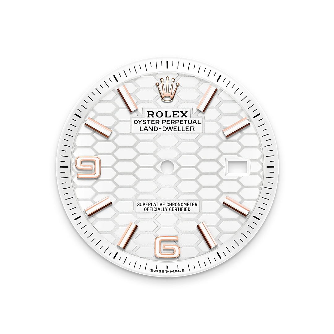 Rolex Land-Dweller 40mm Oyster Everose Gold M127335-0001