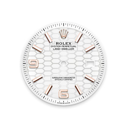 Rolex Land-Dweller 40mm Oyster Everose Gold M127335-0001