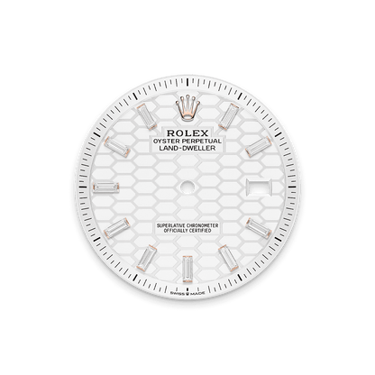 Rolex Land-Dweller 40mm Oyster Everose Gold & Diamonds M127385TBR-0003