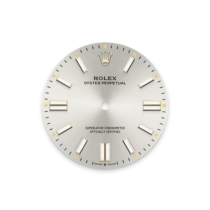 Unworn 2025, Rolex Oyster Perpetual, Oystersteel 41mm, Silver dial, Domed Oyster, Ref# 134300-0001, box and papers