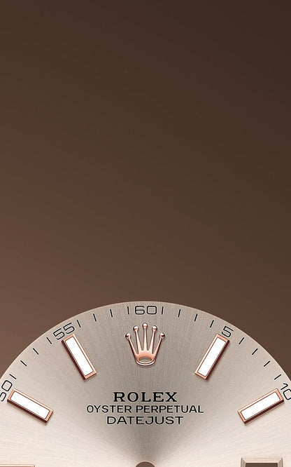 Rolex Datejust 41 Oystersteel and Everose gold Ref# 126301-0009