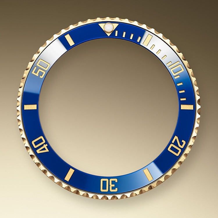 Rolex Submariner Date, Stainless Steel and 18k Yellow Gold, 41mm, Ref# 126613lb-0002