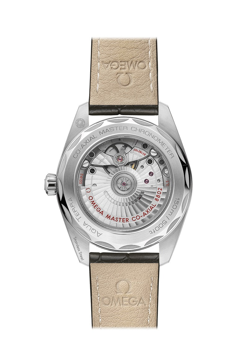 Omega Seamaster AQUA TERRA 150M CO‑AXIAL MASTER CHRONOMETER SMALL SECONDS Ref# 220.13.38.20.60.001