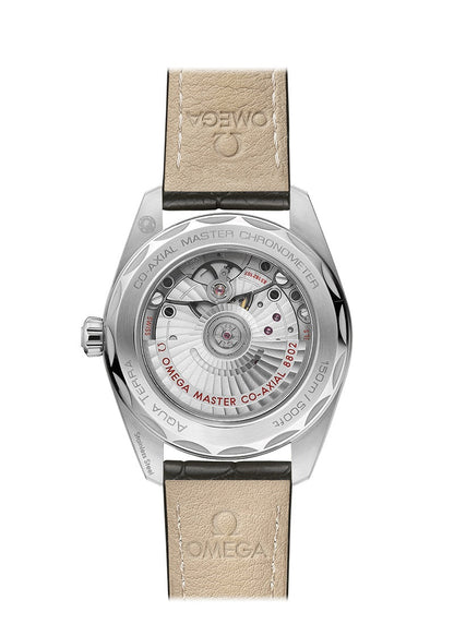 Omega Seamaster AQUA TERRA 150M CO‑AXIAL MASTER CHRONOMETER SMALL SECONDS Ref# 220.13.38.20.60.001